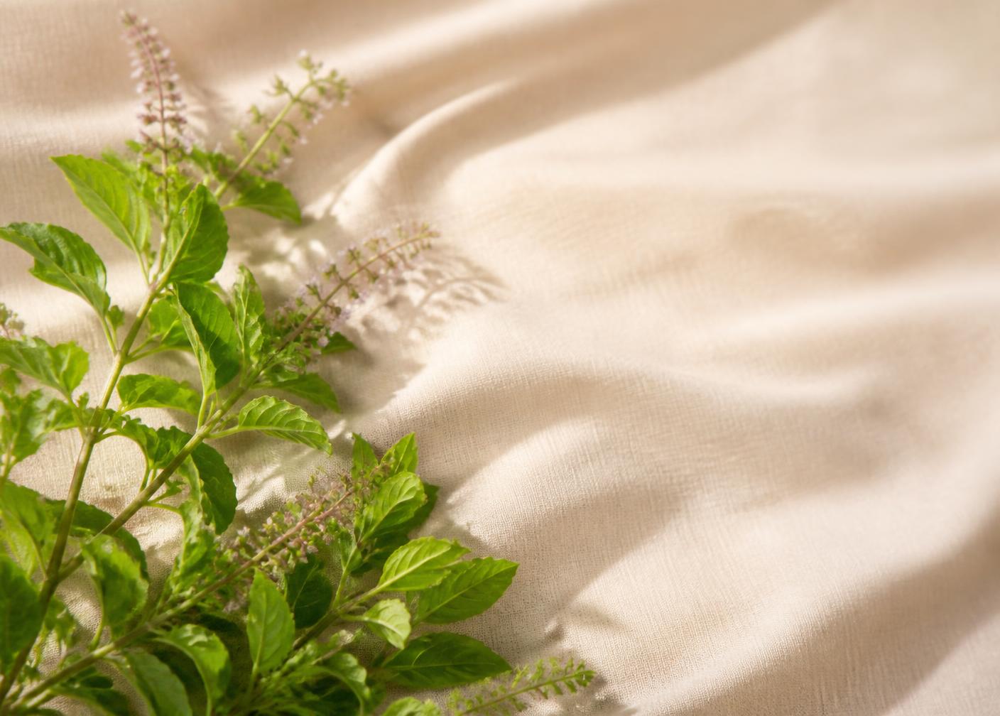 Tulsi ingredients styled in a warm natural setting